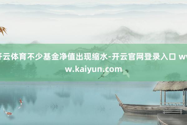 开云体育不少基金净值出现缩水-开云官网登录入口 www.kaiyun.com